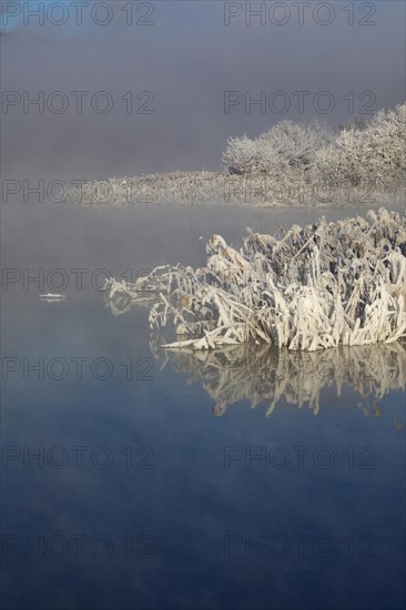 Winter landscape