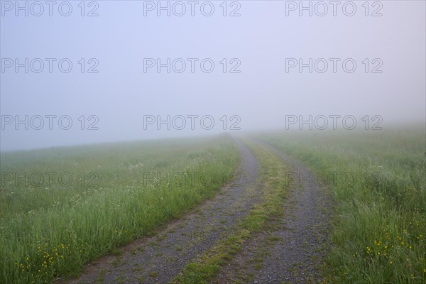 Path