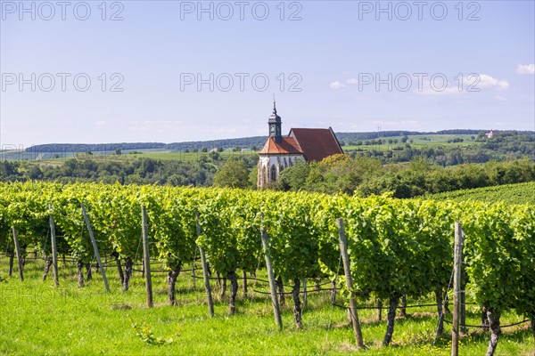 Pilgrimage church Maria im Weingarten