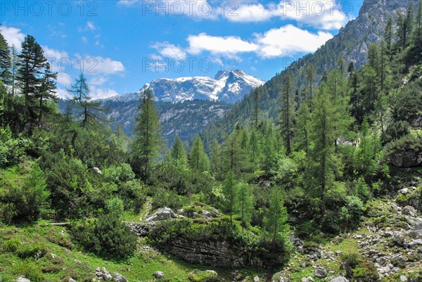 Wilderness in the Berchtesgaden National Park