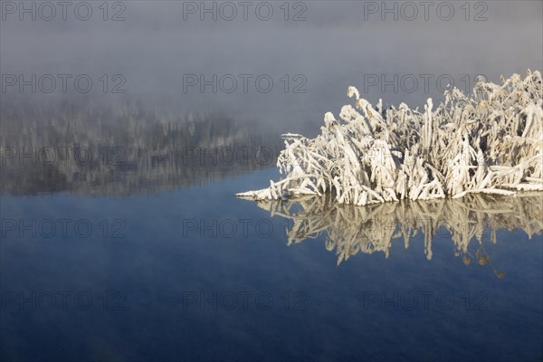 Winter landscape