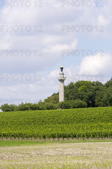 Constitution Column