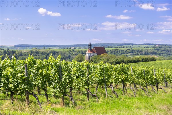 Pilgrimage church Maria im Weingarten