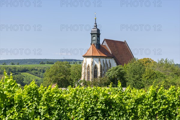 Pilgrimage church Maria im Weingarten