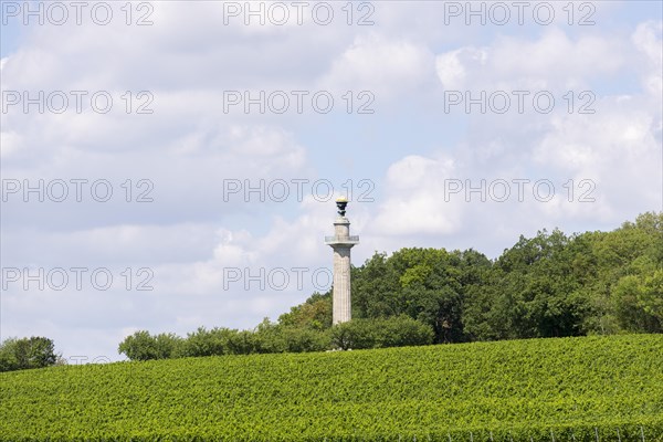 Constitution Column