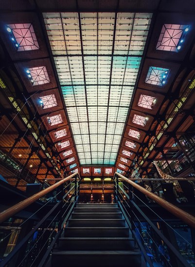Staircase inside the Museum of Natural History