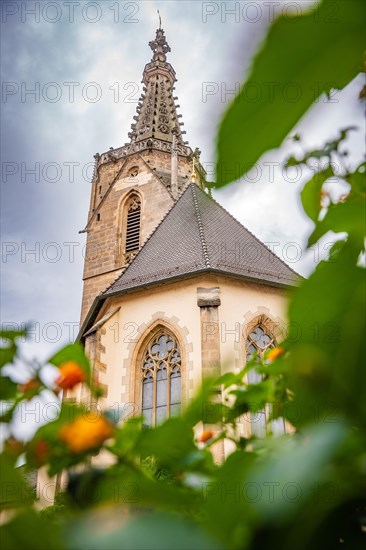 Historic church framed by greenery