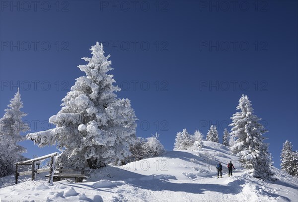 Deep snowy winter landscape on the Zwoelferhorn with ski tourers