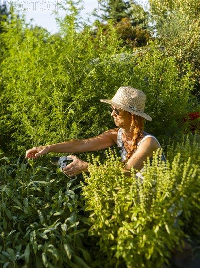 Woman in herb bed