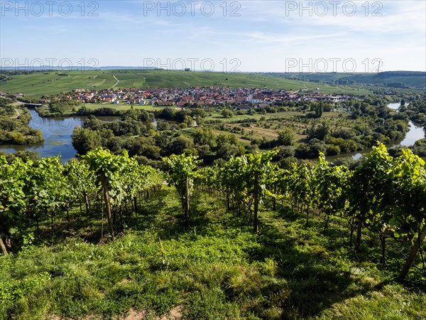 View from Vogelsburg Castle on the Main Loop