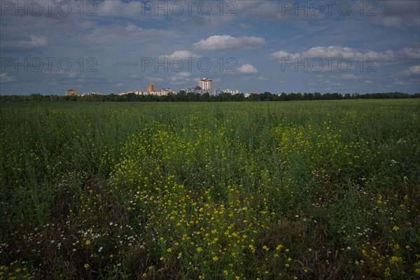 View across a pastureland to residential buildings on the outskirts of the town