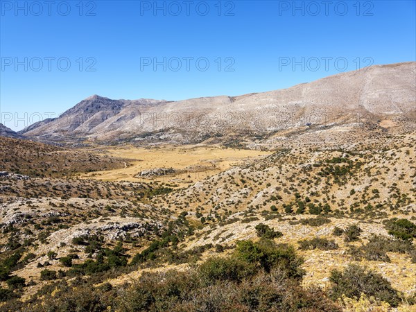 Nida Plain
