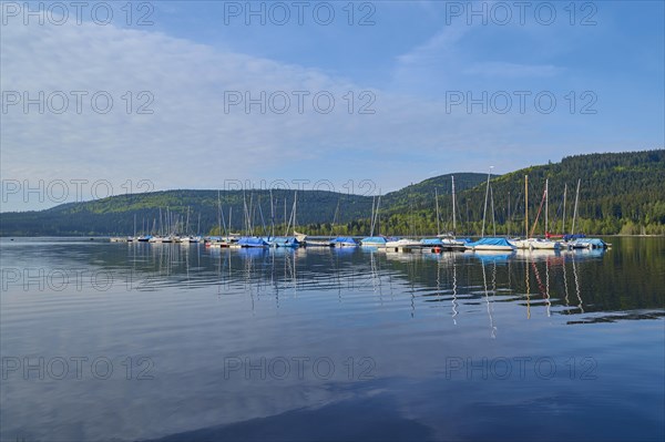 Sailboats