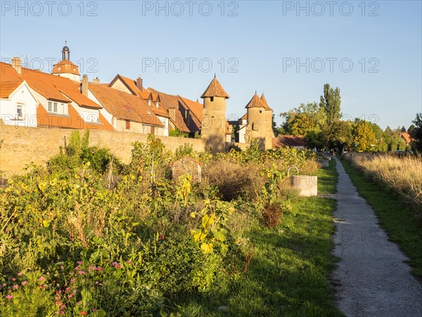 Part of the old town wall and towers