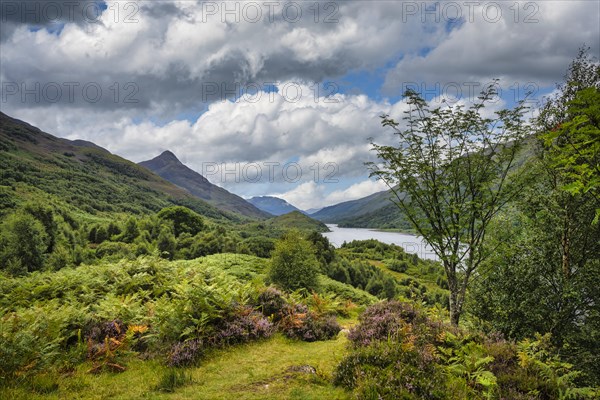 View to the freshwater loch Loch Leven