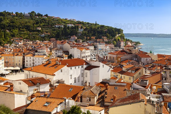 View of the old town from the city walls