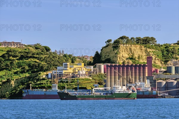Grain and oilseeds terminal and dry bulk cargo ships moored by pier on sunny day. Elevator storage complex for crops and oils as part of a transfer silo. Transportation of agricultural products and fo...