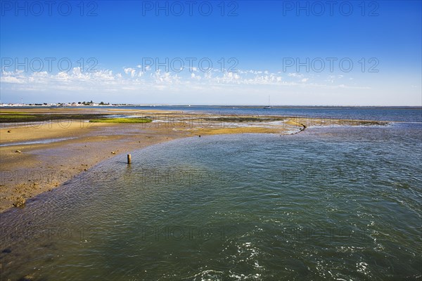 Ria Formosa nature park Park