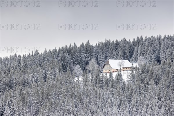 Old farm snowed in