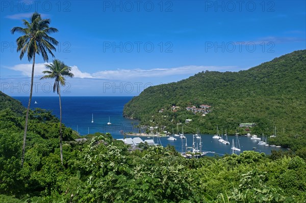 View over sailing boats
