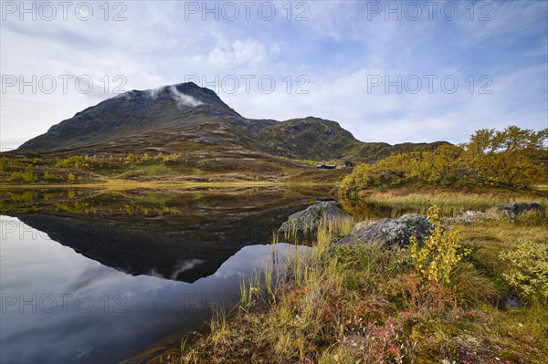 Mountain reflected in bog lake