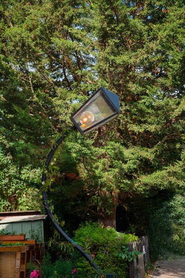 Curved lantern with one energy-saving lamp