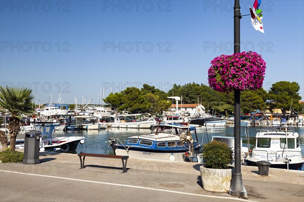 Port of Novigrad