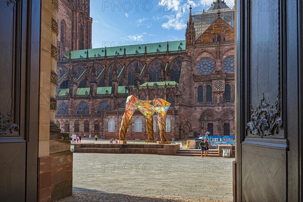 Cathedrale Notre-Dame de Strasbourg of Strasbourg in France