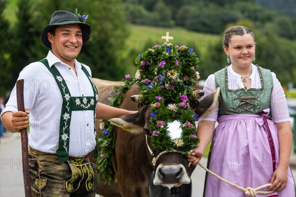 Alpine children leading alpine cattle
