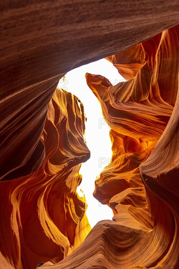 The Lower Antelope seahorse in Arizona. United States