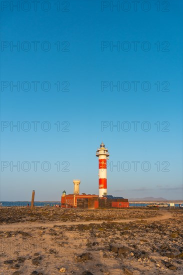 Faro Toston