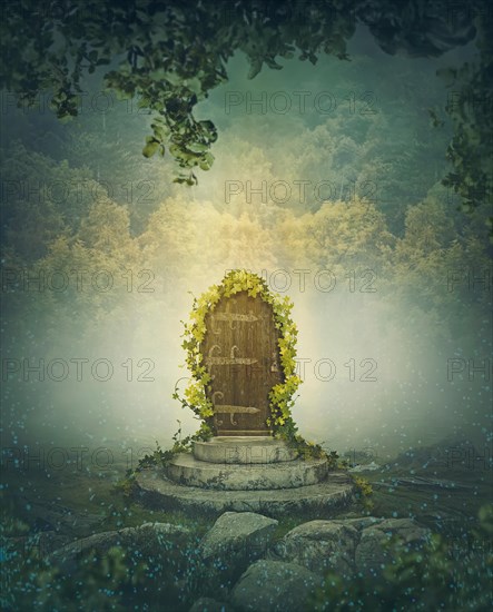 The fairytale door in the woods. Magical fantasy scene in the forest with a gate as portal to wonderland