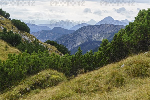 Ammergau Alps