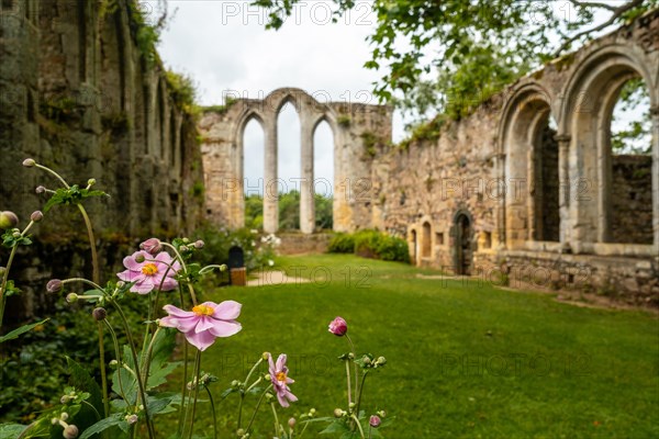Ruins and beautiful gardens of the Abbaye de Beauport in the village of Paimpol