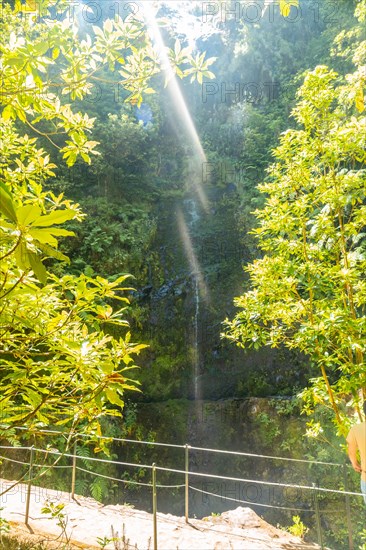 A small waterfall in summer at the Levada do Caldeirao Verde
