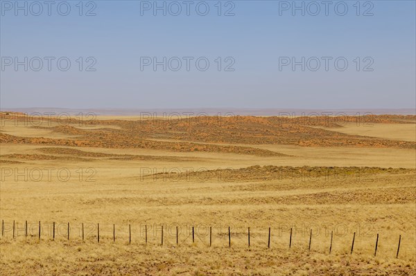 Landscape on the main road C14