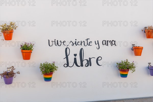 Live and love free painting with lgbt colors. Mijas