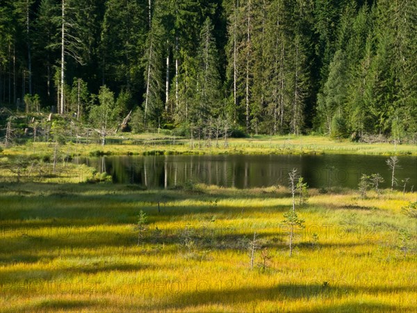 Huzenbacher See
