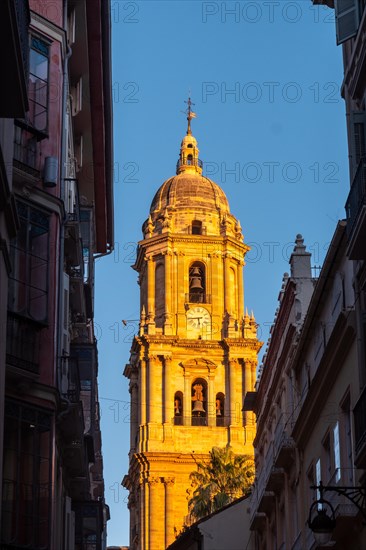 Cathedral of the Incarnation of the city of Malaga