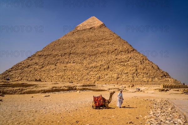 Cairo