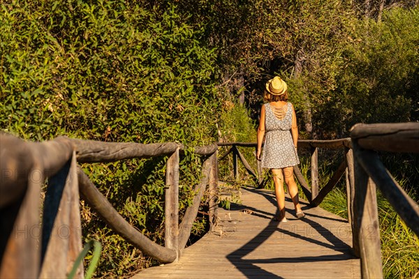 A young tourist walking along a wooden walkway in the Donana Natural Park