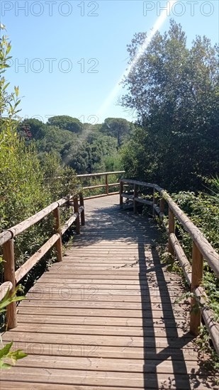 Estanque del Acebron in the Donana natural park at sunset. Huelva