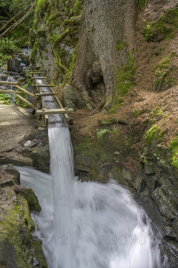 Water flow from a spring at Berkwaal