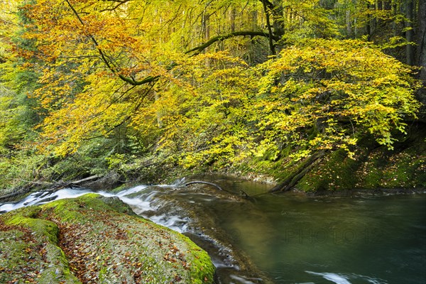 The Eistobel nature reserve