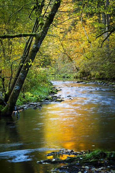 The Eistobel nature reserve