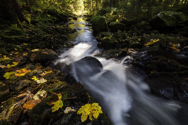Waterfall in autumn forest with rocks