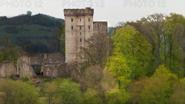 Kasselburg in the Eifel