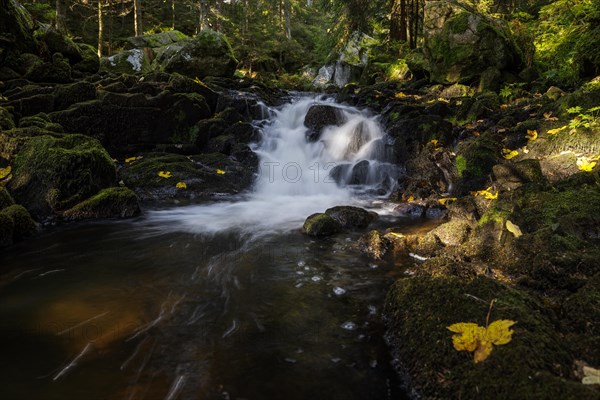 Waterfall in autumn forest with rocks