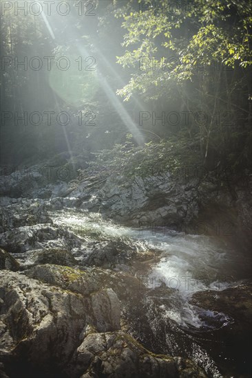Mountain gorge