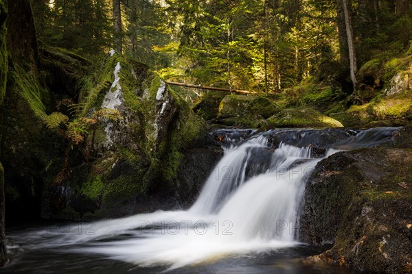 Waterfall in autumn forest with rocks